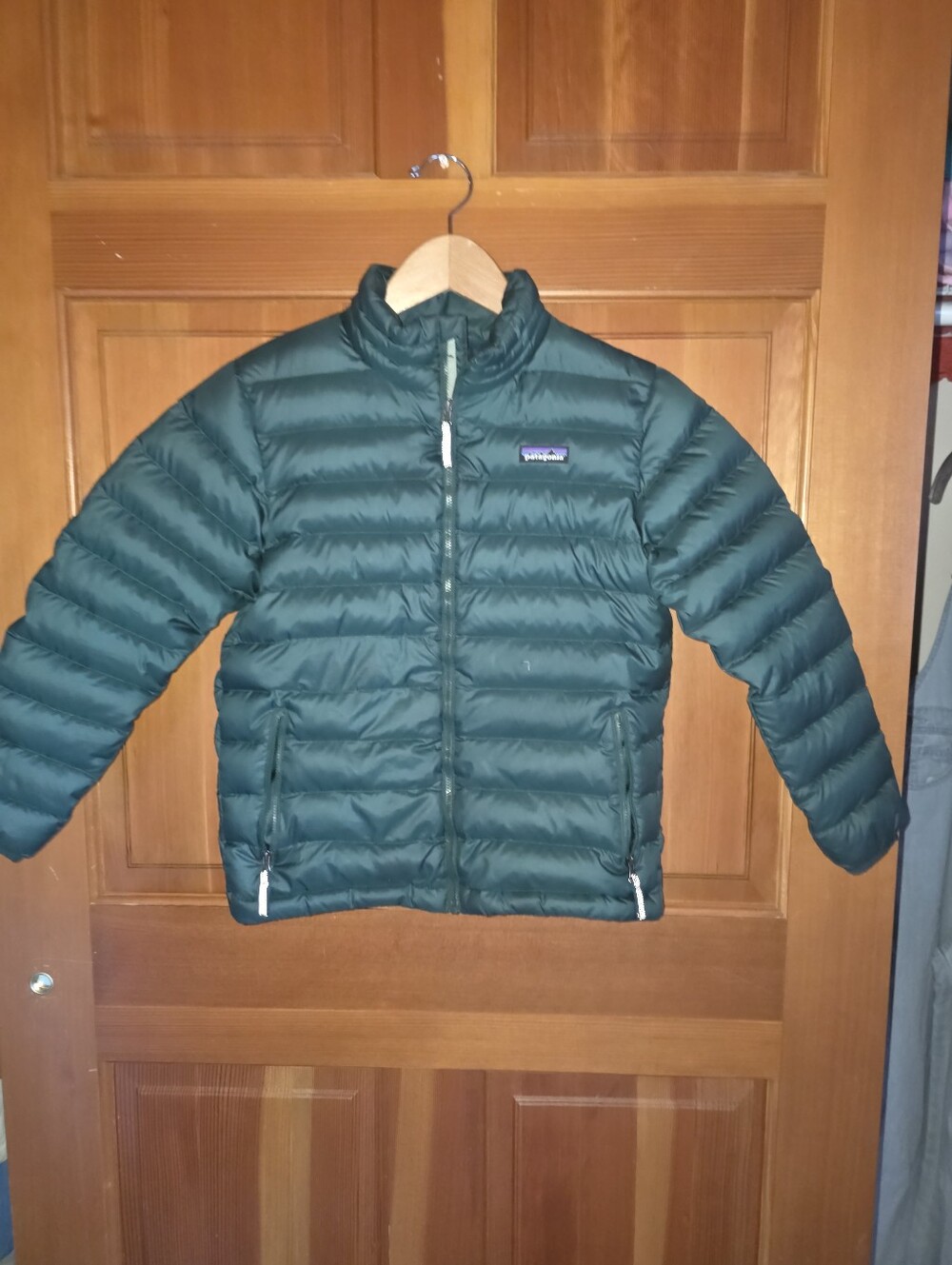 Patagonia Forest Green Down Puffer kids jacket size 10 - Picture 2 of 12